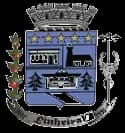 Logo PREFEITURA MUNICIPAL DE PINHEIRAL