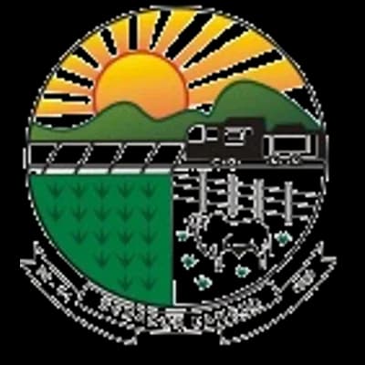 Logo Câmara Municipal de Senador Canedo