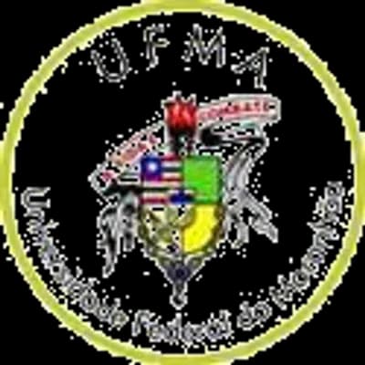 Logo Universidade Federal do Maranhão