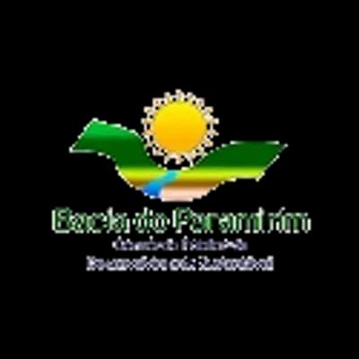 Logo Consórcio de Desenvolvimento Sustentável do Território Bacia do Paramirim