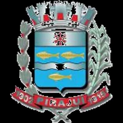 Logo Câmara Municipal de Pirajuí