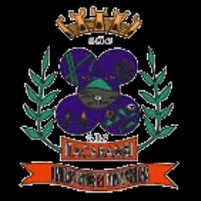 Logo Câmara Municipal de Itacarambi