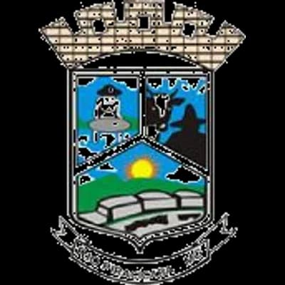 Logo Câmara Municipal de Rio Piracicaba