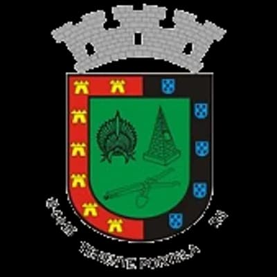 Logo Prefeitura Municipal de Tenente Portela