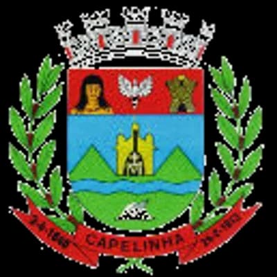 Logo Câmara Municipal de Capelinha