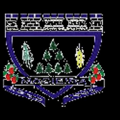 Logo Prefeitura Municipal de Macieira