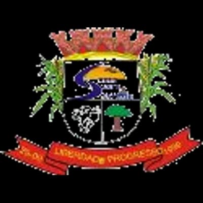 Logo Prefeitura Municipal de Novo Santo Antônio