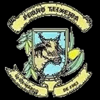 Logo Prefeitura Municipal de Pedro Teixeira