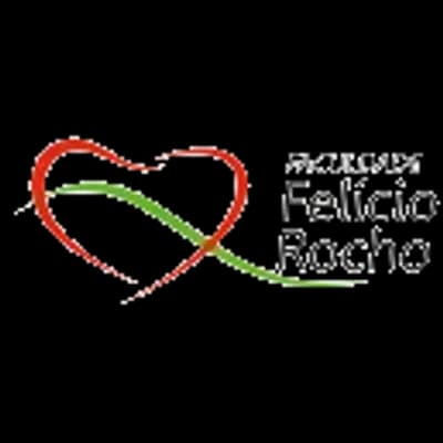 Logo Faculdade Felício Rocho
