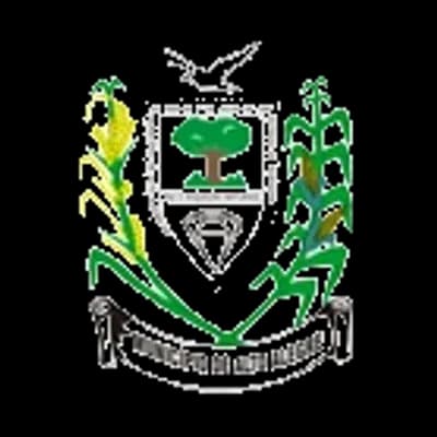 Logo Prefeitura Municipal de Alto Alegre