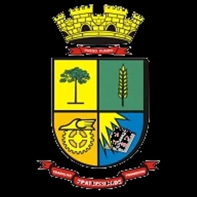 Logo Prefeitura Municipal de Passo Fundo