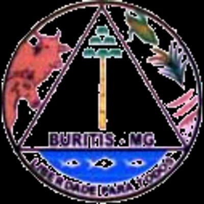 Logo Secretaria Municipal de Saúde de Buritis