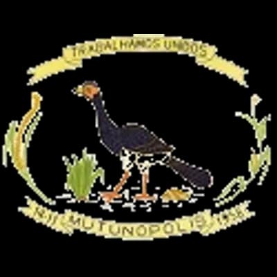 Logo Câmara Municipal de Mutunópolis