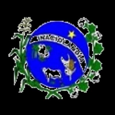 Logo Prefeitura Municipal e Câmara Municipal de Inaciolândia