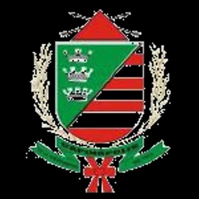 Logo Câmara Municipal de Capinópolis