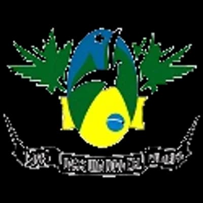 Logo Prefeitura Municipal de Palmeira