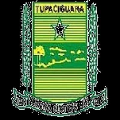 Logo Câmara Municipal de Tupaciguara