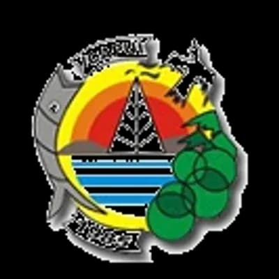 Logo Câmara Municipal de Icapuí