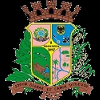 Logo Câmara Municipal de Ibirama