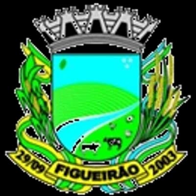 Logo Prefeitura Municipal de Figueirão