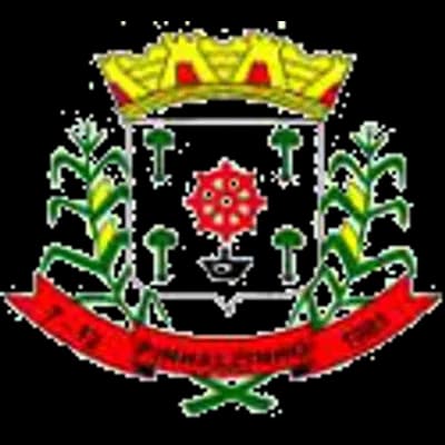 Logo Prefeitura Municipal de Pinhalzinho