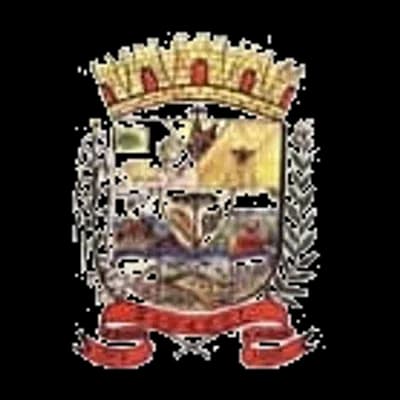 Logo Câmara Municipal de Rio Azul