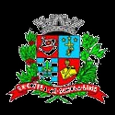 Logo Prefeitura Municipal de Lins