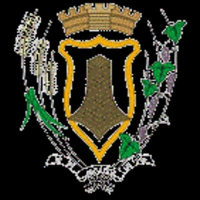 Logo Prefeitura Municipal de Piraquara
