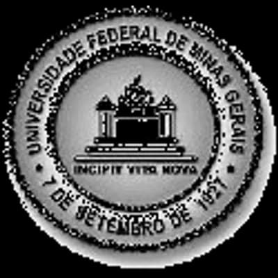 Logo Universidade Federal de Minas Gerais
