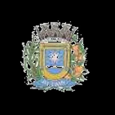 Logo Câmara Municipal de Altair