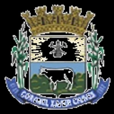 Logo Câmara Municipal de Coronel Xavier Chaves